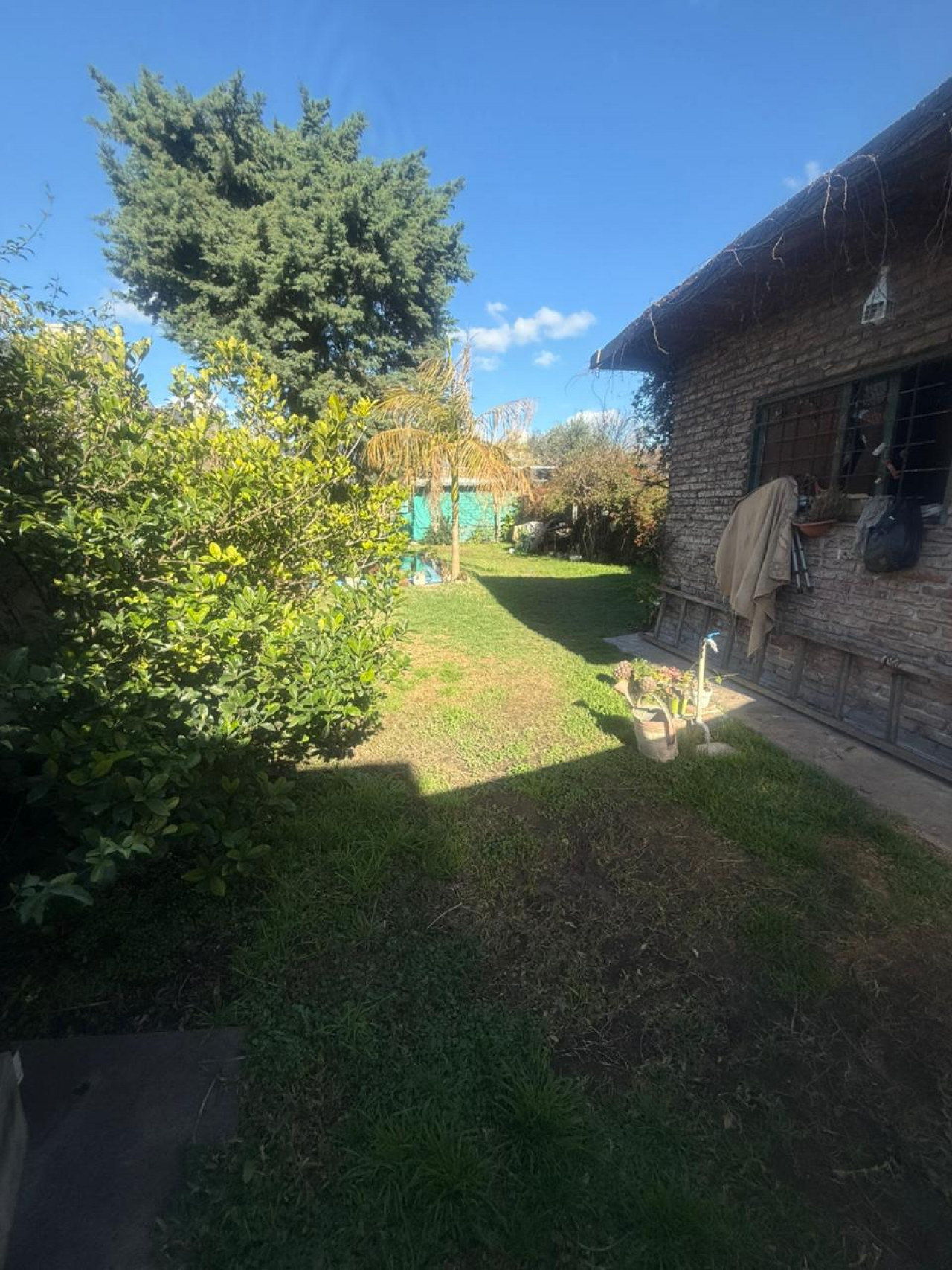 vista del jardin del fondo